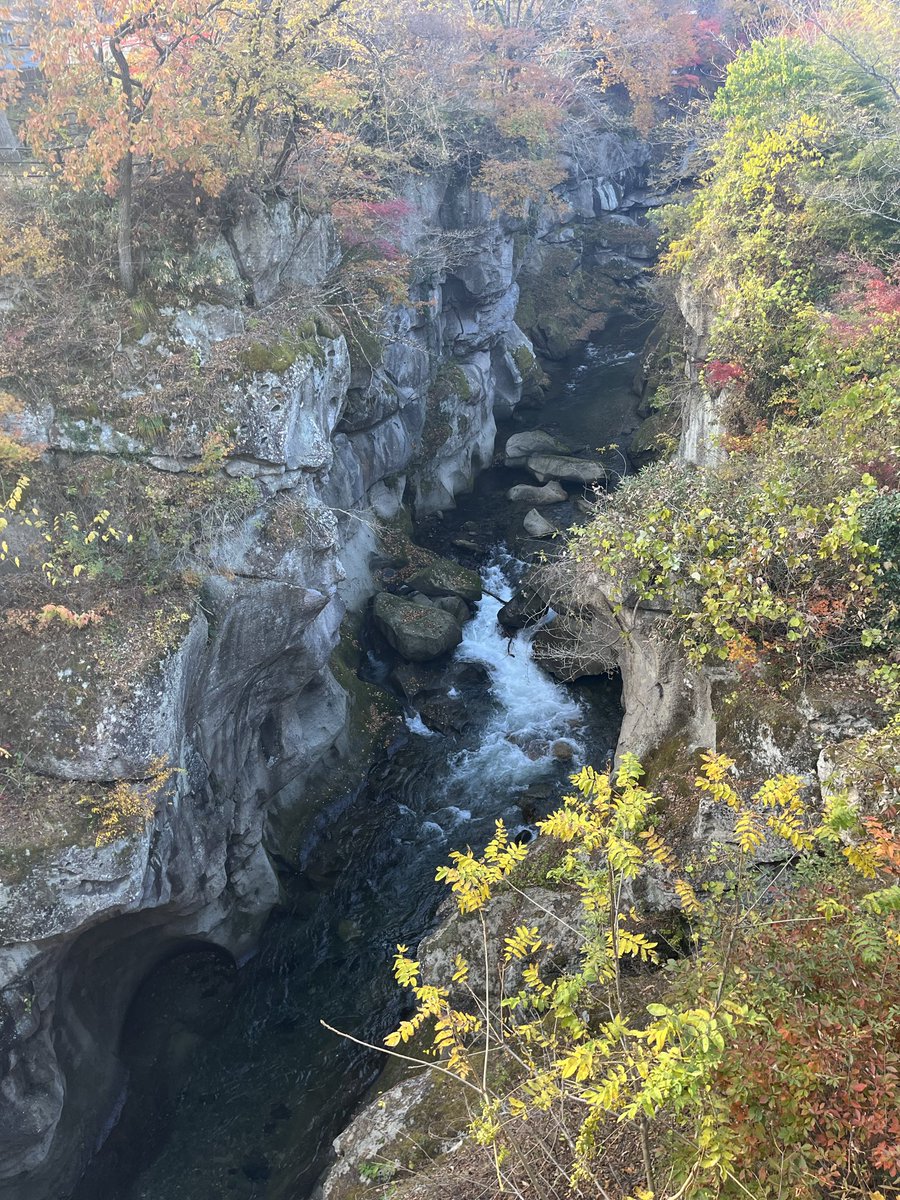 aycoat1's tweet photo. 知覚動考ってイベントに行ってきた！
温泉とか滝がある自然が多いエリアでやったんだけど最高だったー！大きい音を新鮮な空気の中で聴けてフェスに近い雰囲気。
お昼から夕方までライブとか紅葉とか美味しいのとか古着屋さんとか足湯とか。
夜は美術館に。普段入れな不思議な感じで楽しかった！ https://t.co/PwyOSs9eOS