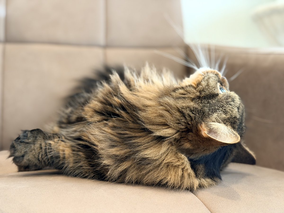 ﾁｭﾝﾁｭﾝ来て気になってる
おはようございます🌱