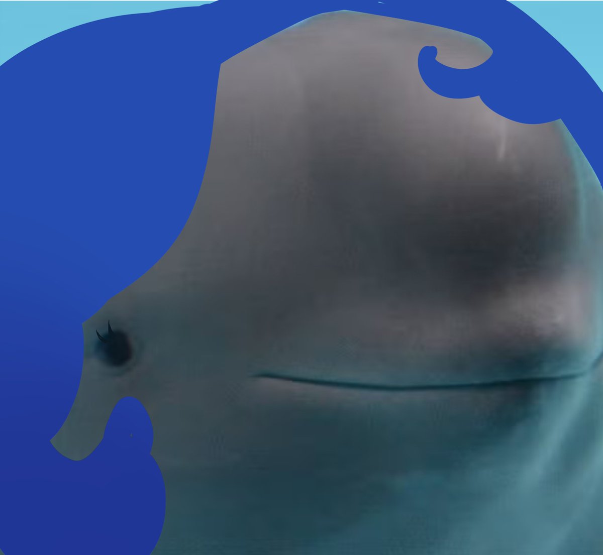 SSephyr's tweet image. Good night friends, send me some suggestions what to draw on straw (in bio)