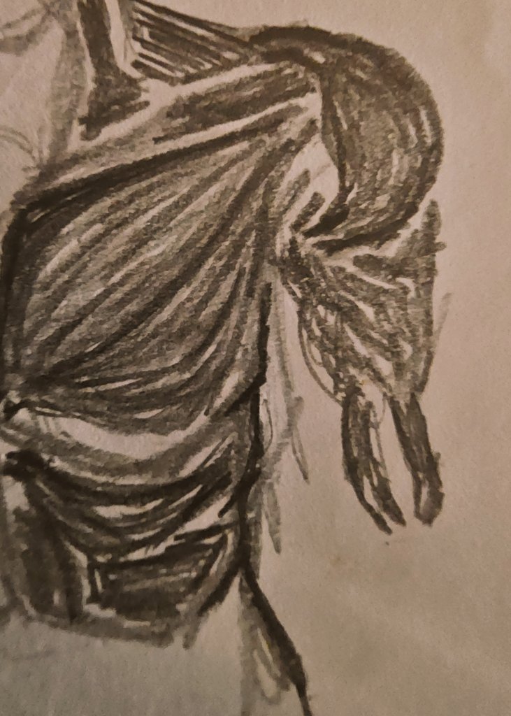 Sphix (@borrado007) on Twitter photo 