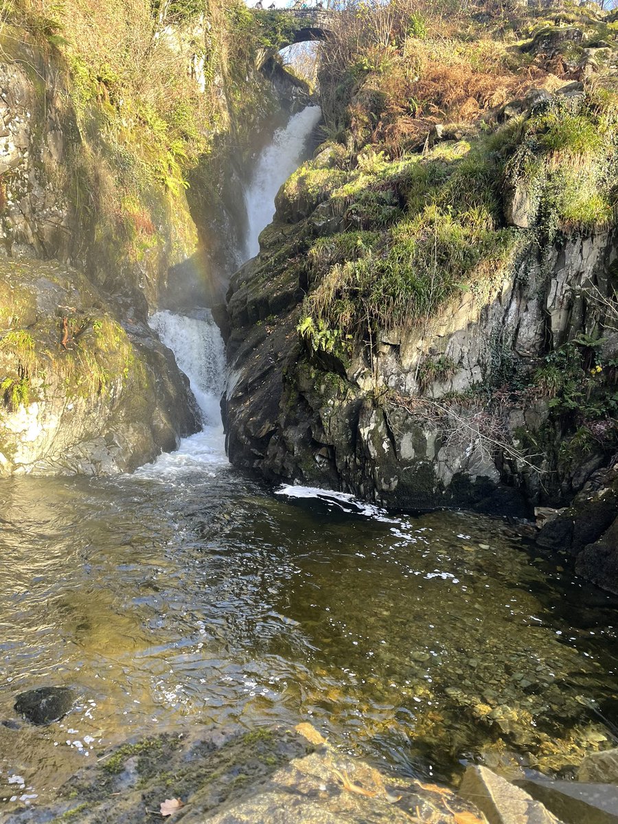 pc_cop's tweet image. Today I walked nine miles and ate sausage and mash for dinner &amp;lt;3