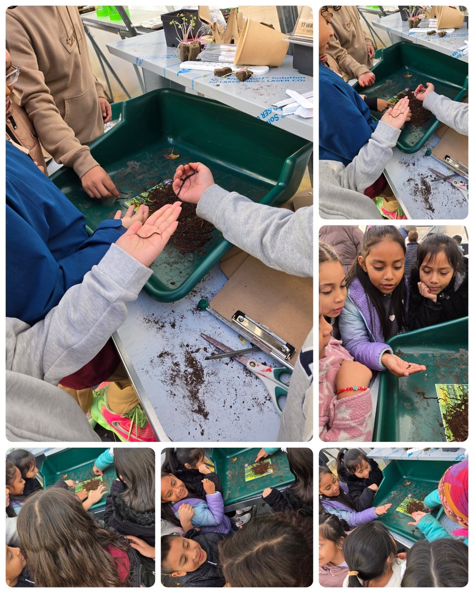 Hillary Spitalieri tweet media