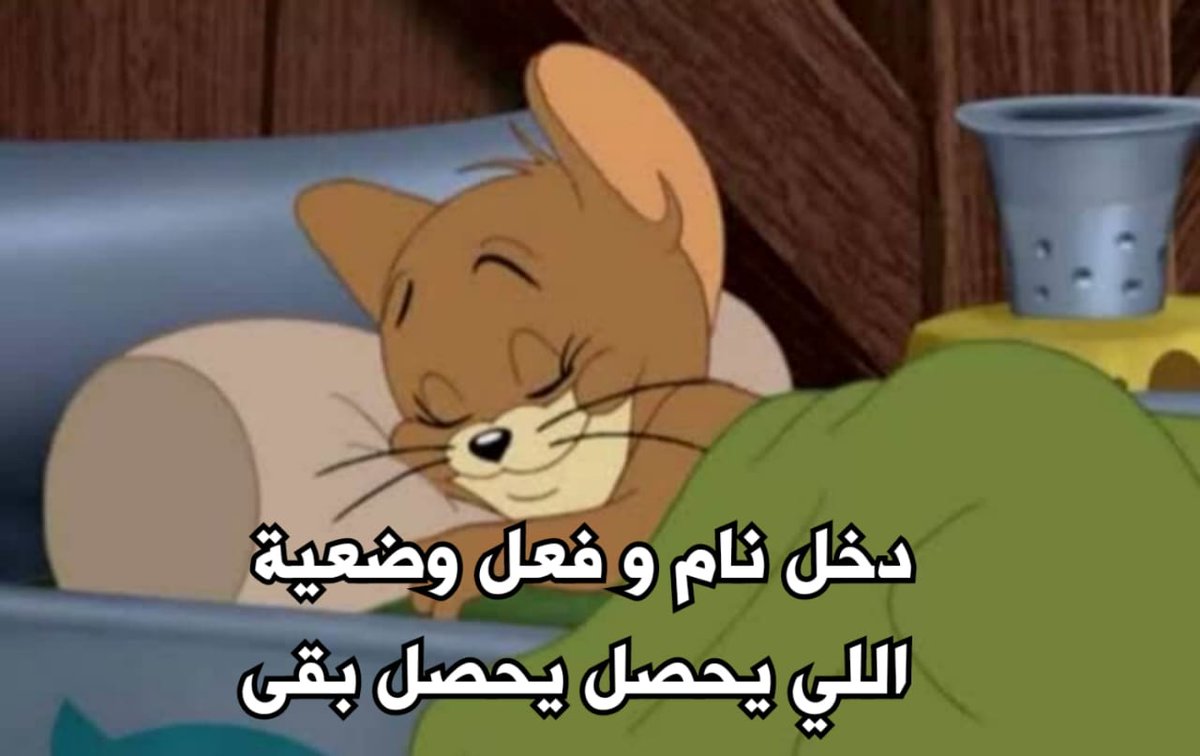 egymeme11's tweet image. 