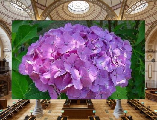 CMOOK3's tweet image. 🦜Hemp fabric is durable and natural.🏇Apple crisp, warm.