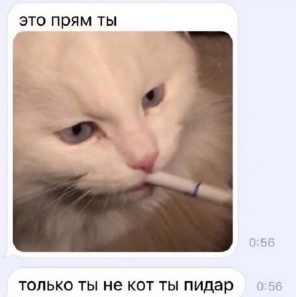 Артём (@panfilooov) on Twitter photo 