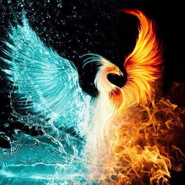 FreeTavana's tweet image. If #Iran dies, #civilization dies.
 Iran will be born again, as always in history, from the #Phoenix-like pain.