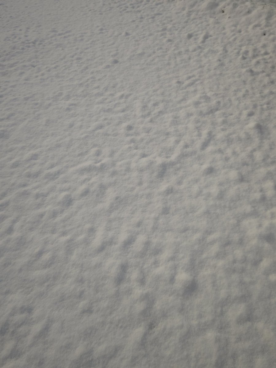 初雪から積もるんじゃないよ……