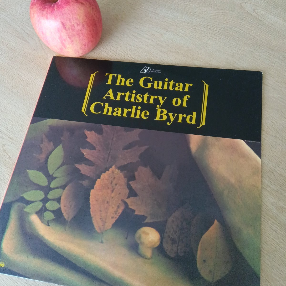 visionopt1's tweet image. #留萌　雪0℃
暖かいギターが良いなぁ
#チャーリー·バード