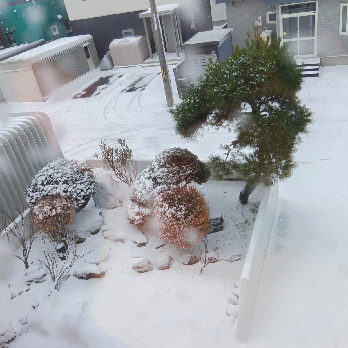 visionopt1's tweet image. #留萌　雪0℃
暖かいギターが良いなぁ
#チャーリー·バード