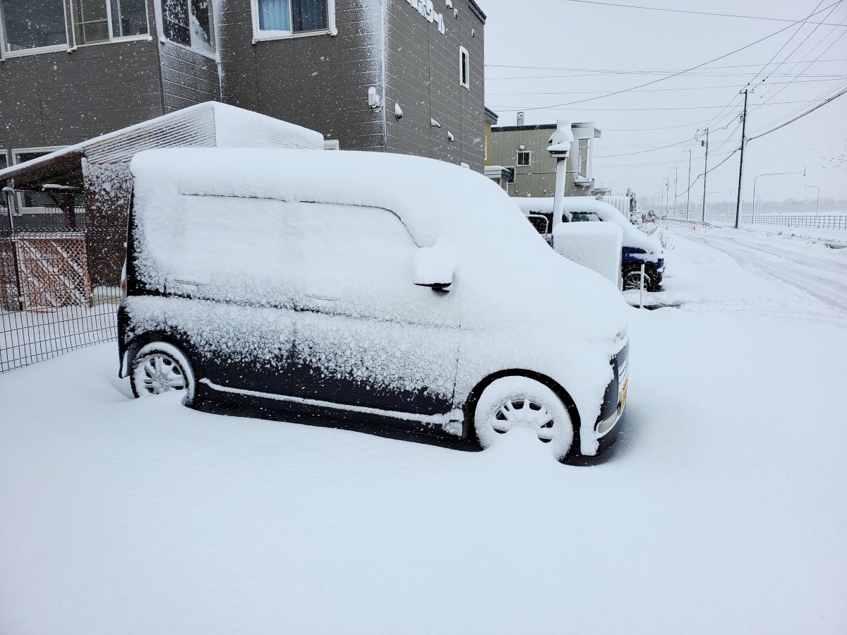 dmvaper's tweet photo. さぁ~雪かきだべサ~
#岩見沢 #除雪 #積雪 https://t.co/vEeaWHKmRP