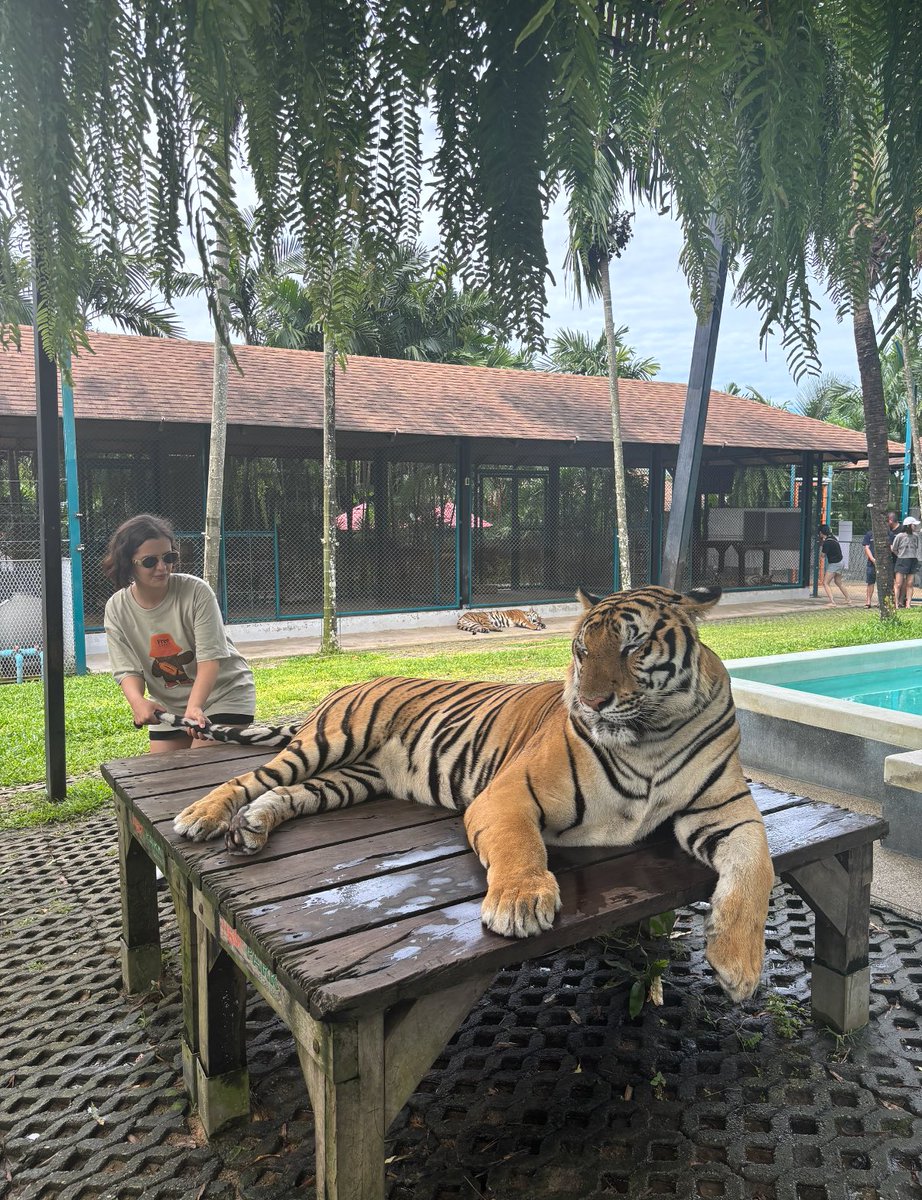 Mood ( ama kaplan olan )