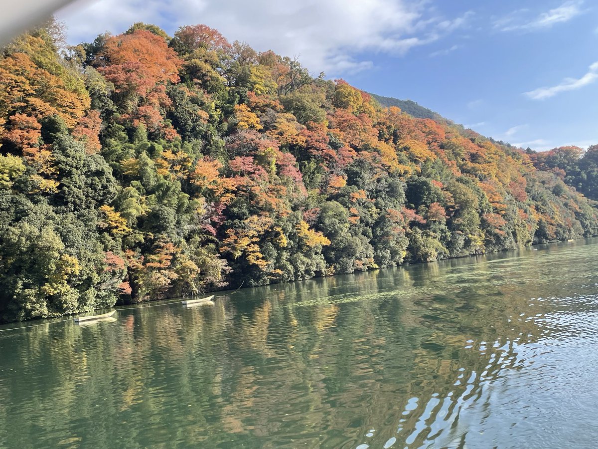 9648kanta's tweet photo. 先日の遊覧船🚢
紅葉はまだ早かった🍁😅

見知らぬおじ様と うちだけでほとんど貸切状態でした😘
★スリングやキャリー無しで乗船できます。 https://t.co/TyplcqATGb
