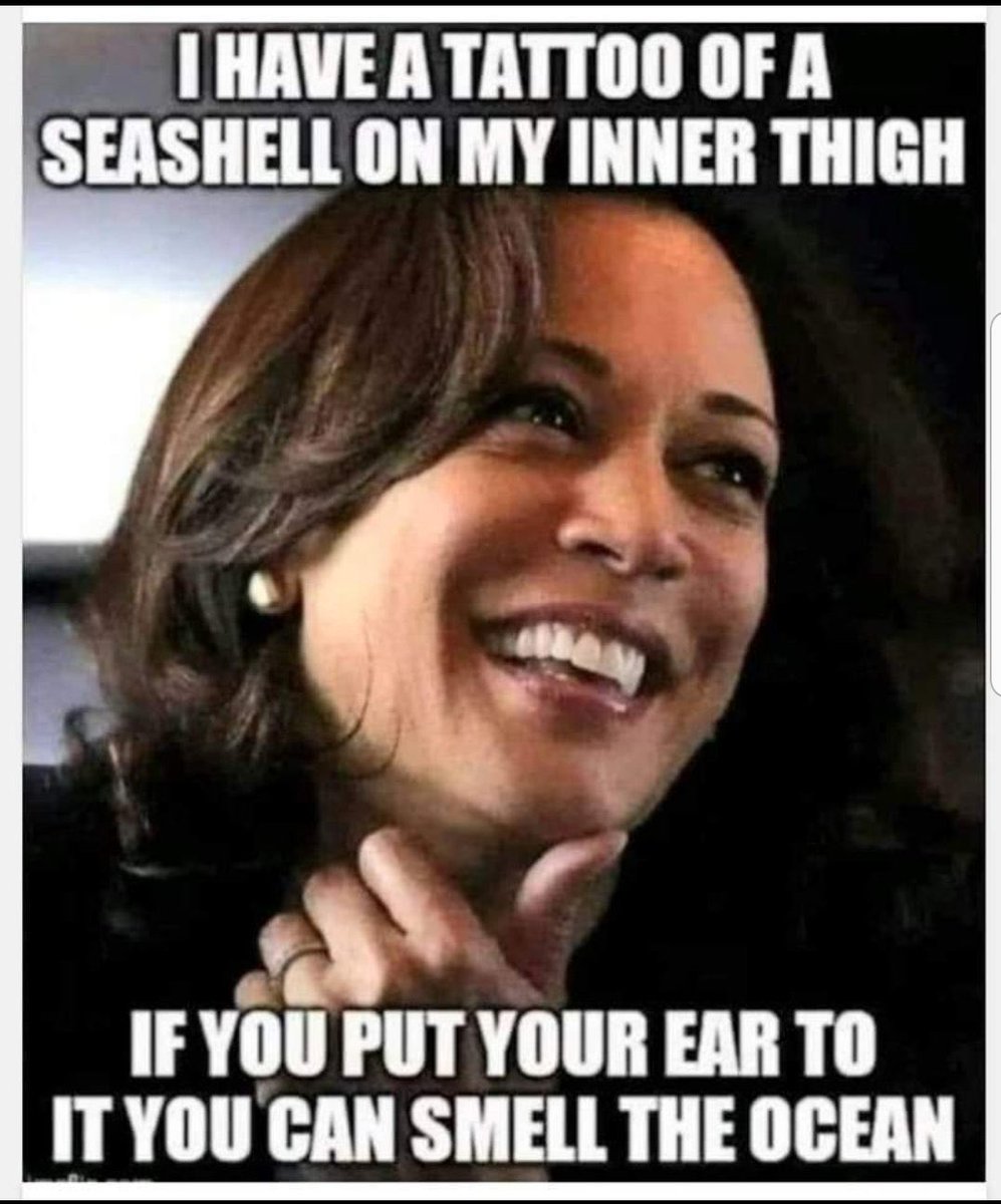 TechzillaDirk's tweet image. 