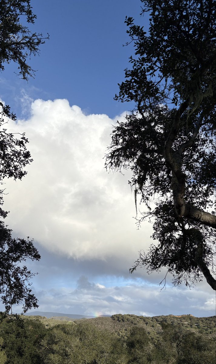 The #airquality forecast is Green/Good. Check air quality conditions 24/7 – link in bio.  
 
El pronóstico de la calidad del aire es verde/bueno. Puede consultar las condiciones de la calidad del aire las 24 horas del día, los 7 días de la semana — enlace en la biografía.