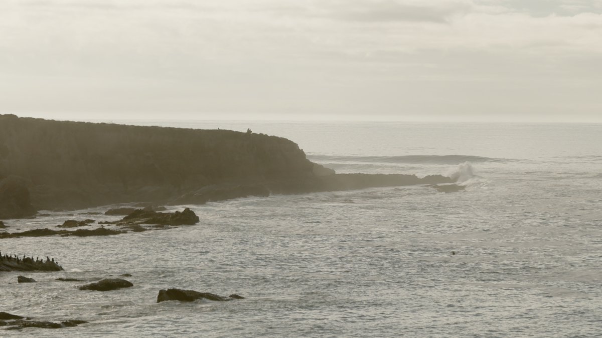 HeyBenSchuller's tweet image. THIS FRIDAY:

// Ben Schuller &amp;amp; @FabvLMusic - HIM // 
New Song and Music Video

Featuring a 53 person choir of Nerdcore artists. This has been in the works for over a year and we can’t wait for you to finally have it 🙌

Pre-save here:
distrokid.com/hyperfollow/be…