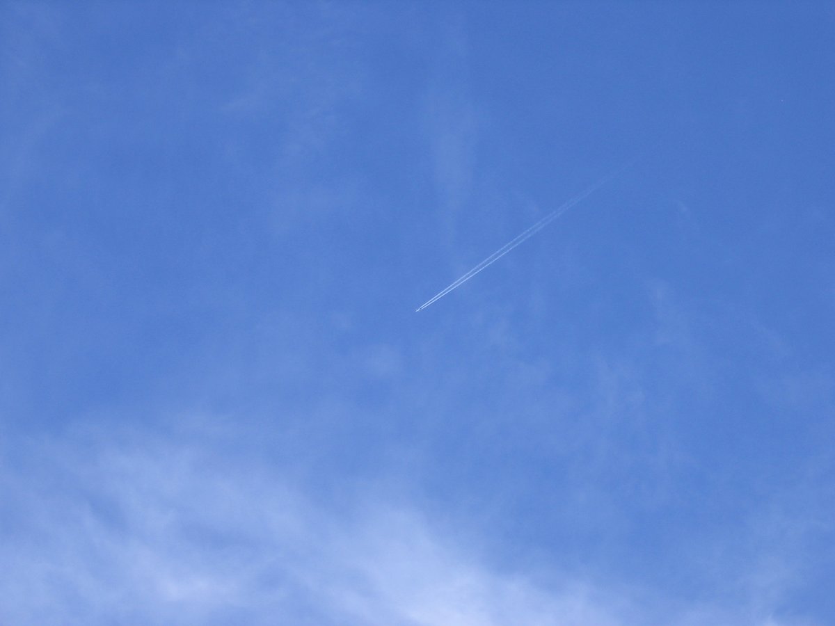 operatorihc's tweet image. 