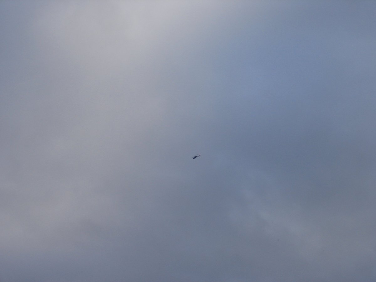 operatorihc's tweet image. 