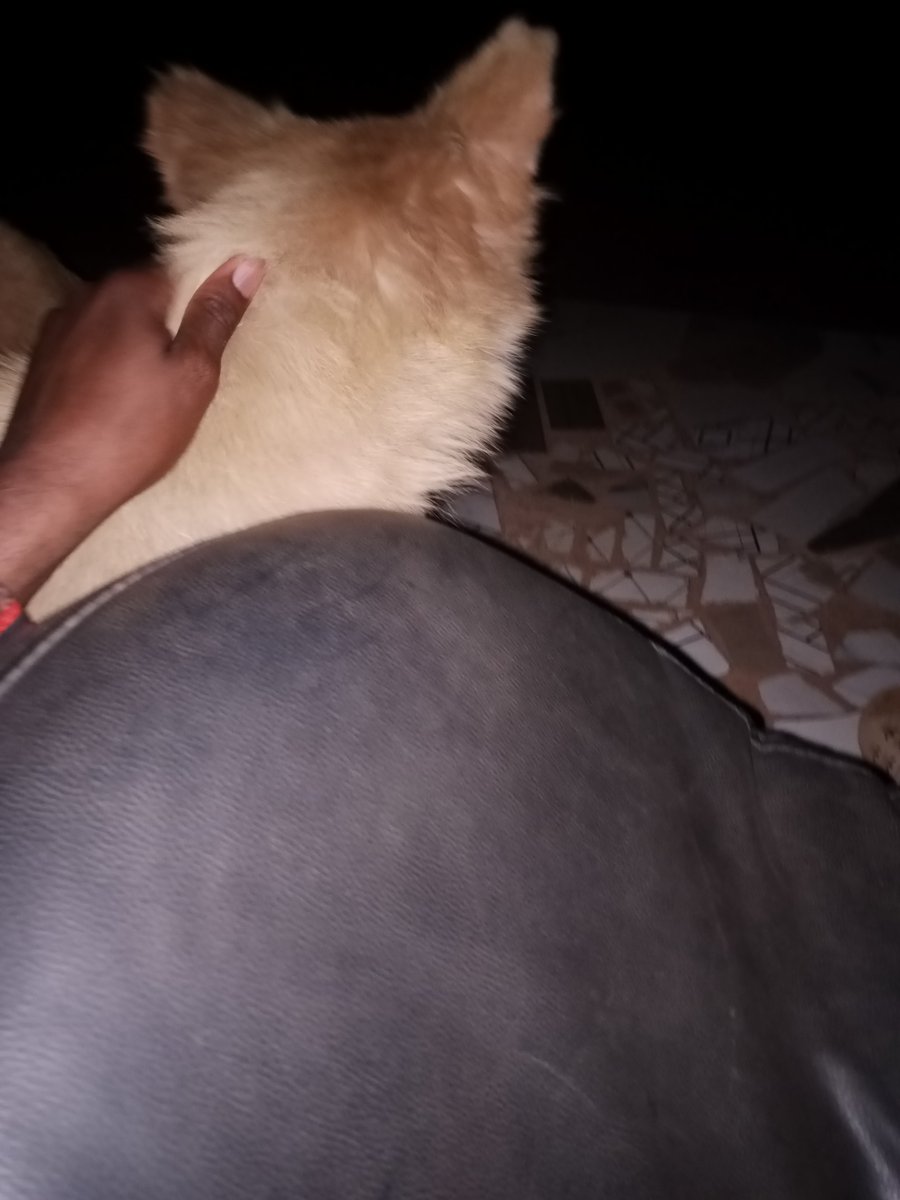 devcodex30079's tweet image. Late night grind 💪💪😤😤