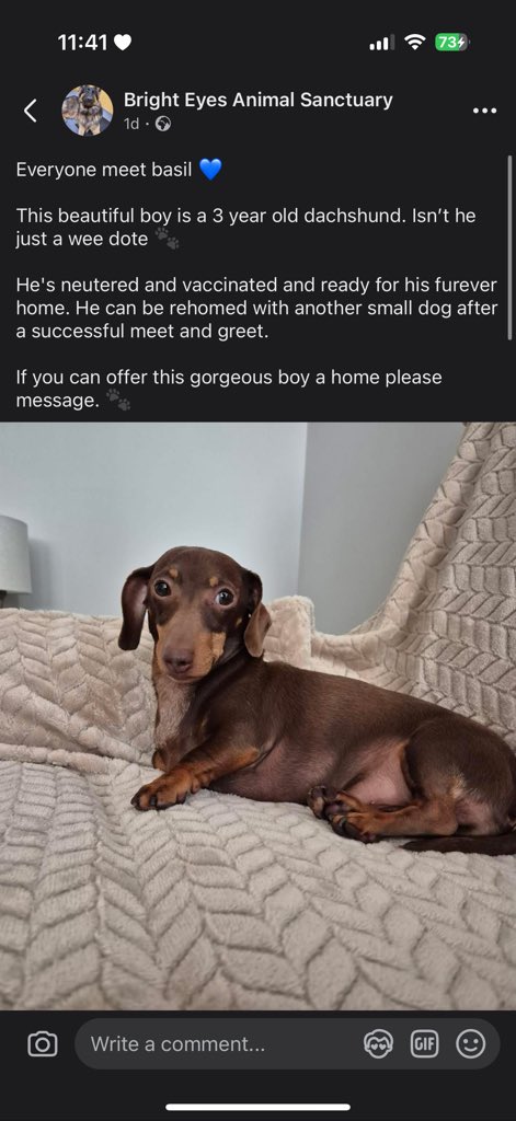 has mia rehomed basil??? wtf?