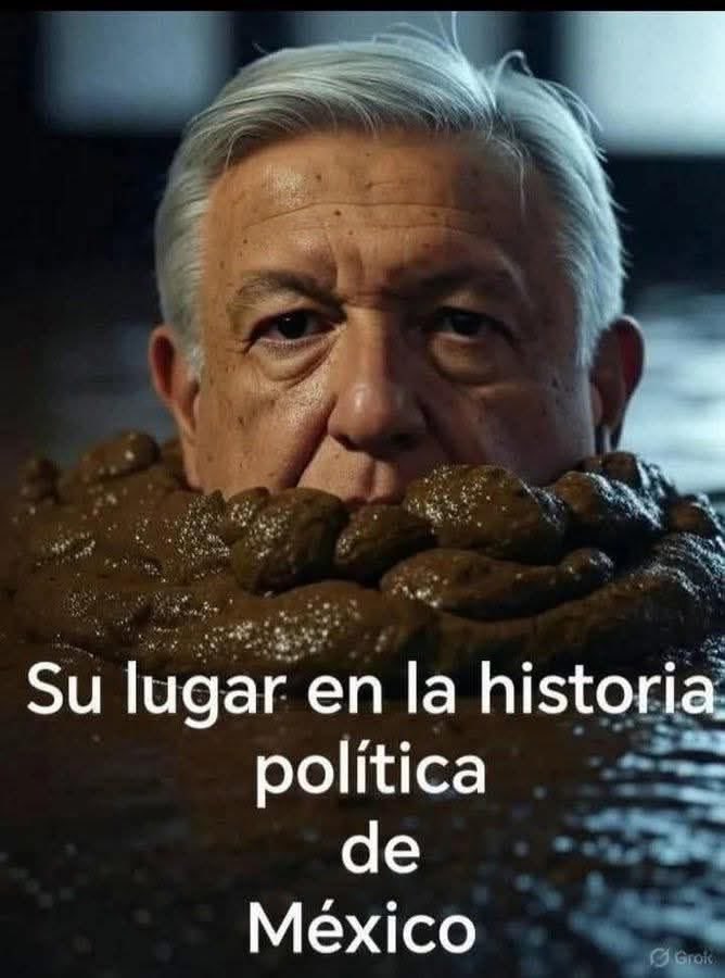 Lestat_Diaz's tweet photo. @LuisaAlcalde @Claudiashein @lopezobrador_ https://t.co/5SVXyd3qpr