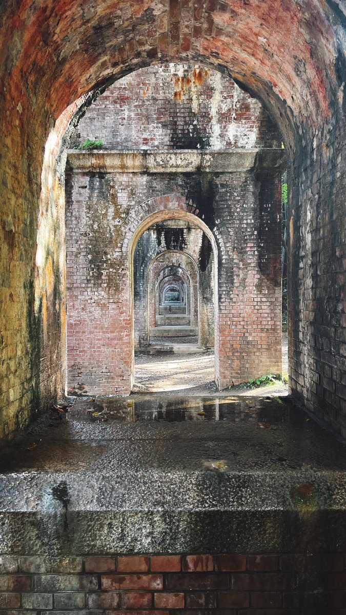 AndhikaGlody's tweet photo. 「 Exploring The old Capital」
。
。
Good Morning from Kyoto
。
。
#ExploreJPN #inspirationcultmag #streetdreamsmag #explorejapan #tokyocameraclub #japantravel #reco_ig  #japan #indy_photolife #日本 #ポートレート #autumn #秋 #streetphotography #京都 #kyoto https://t.co/qZojfRhKWK