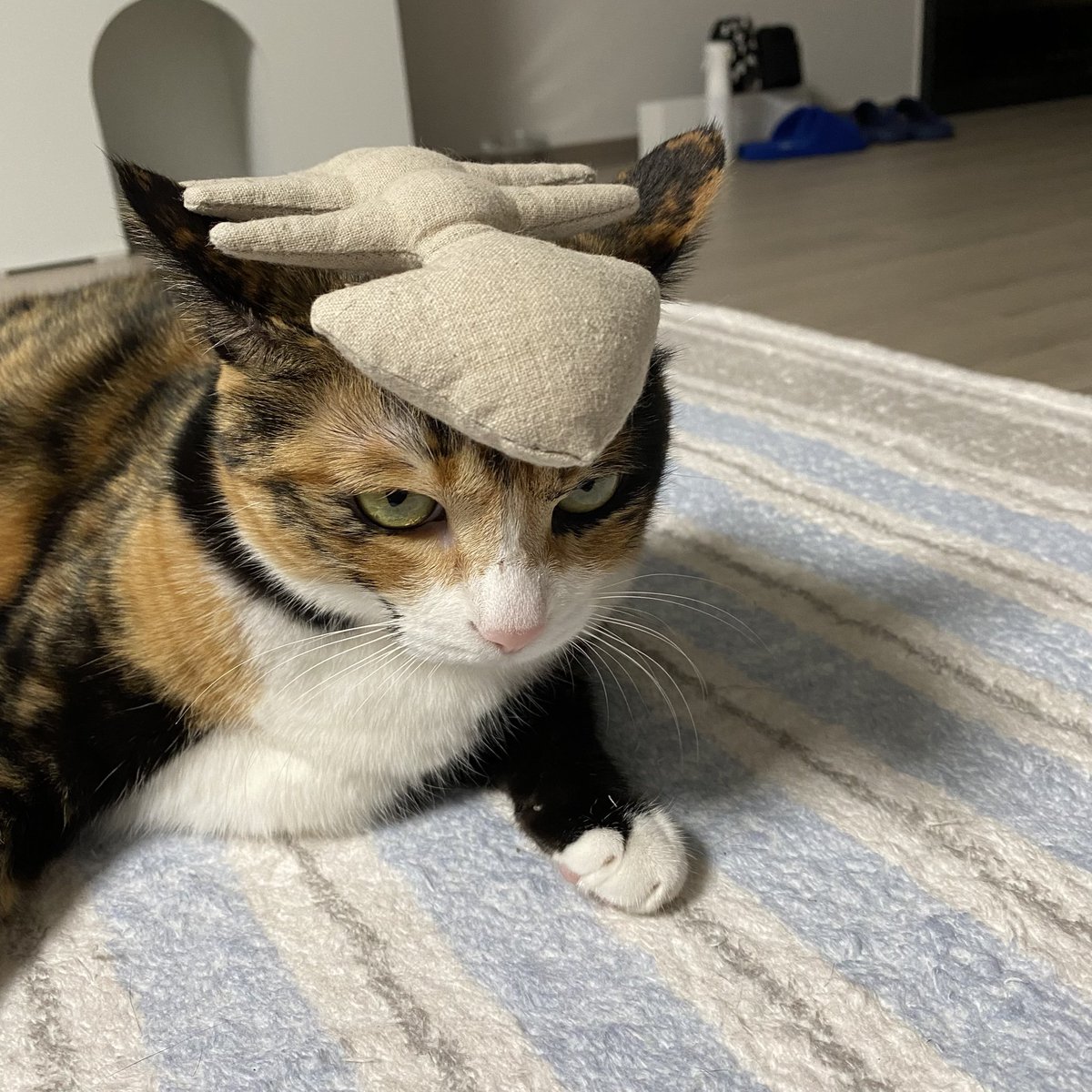 grapefruit_pk's tweet image. 불량공주 박자몽