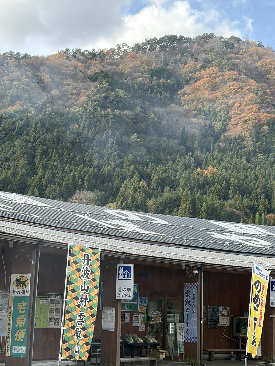 1221ookami's tweet image. #いまここ