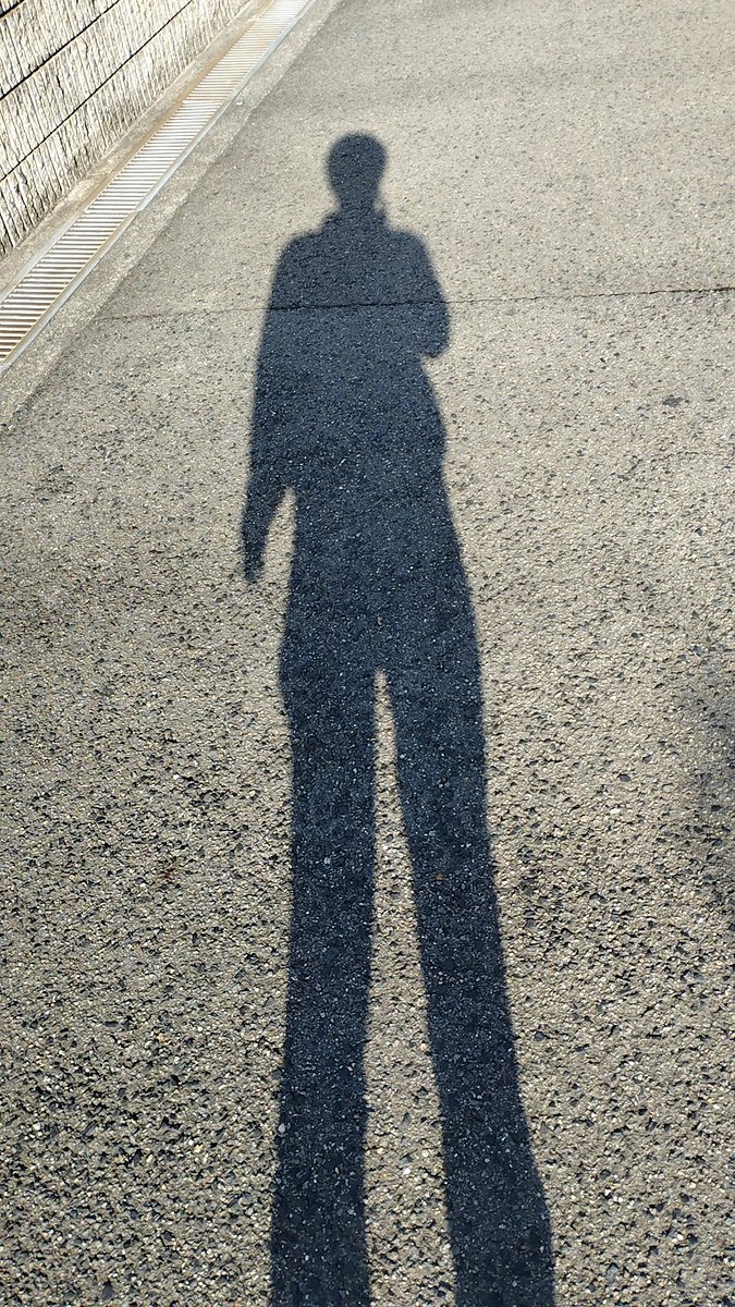 手ぶらで出勤するぽれ