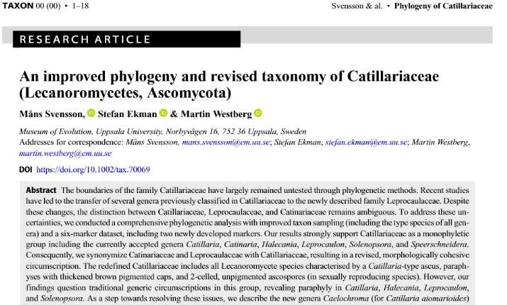 plnimis's tweet photo. Just published: an important paper on the Catillariaceae, with nomenclatural changes in Catillaria, Halecania and Solenopsora (already implemented in ITALIC):
Link to the article: https://t.co/KYc0wHtTEP https://t.co/MrtBrhe4h4