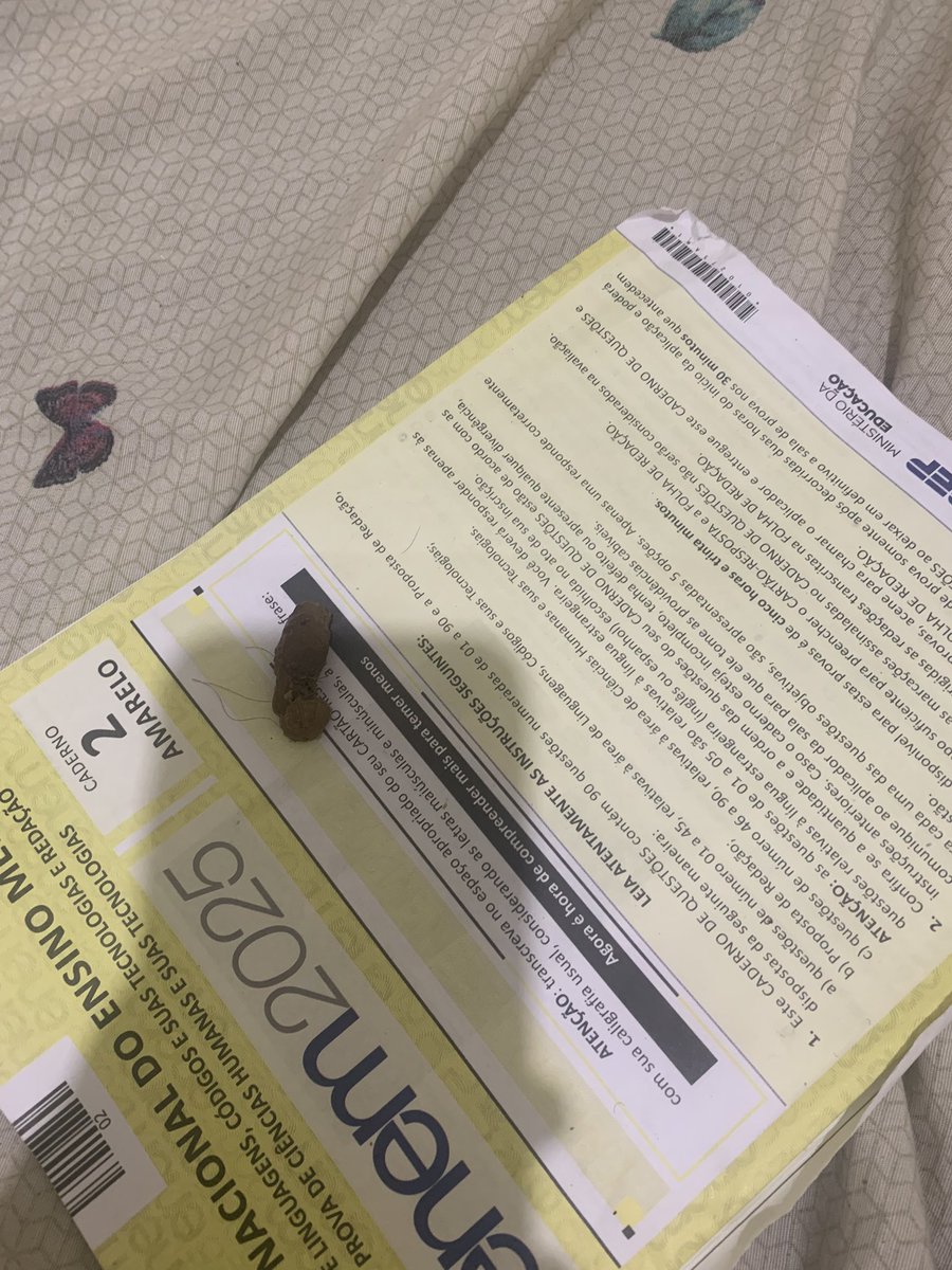 dolygrl's tweet image. e minha gata cagou na minha prova do enem