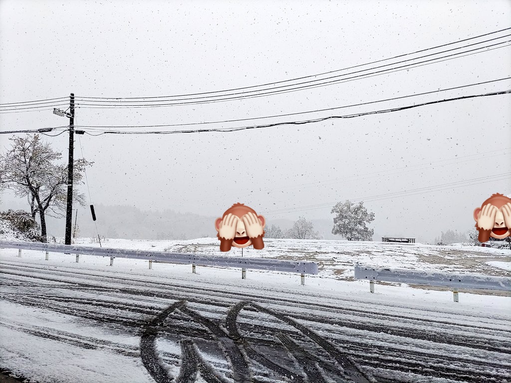 🐸よりどりみどり🍀 (@ririana_snow) / Posts / X