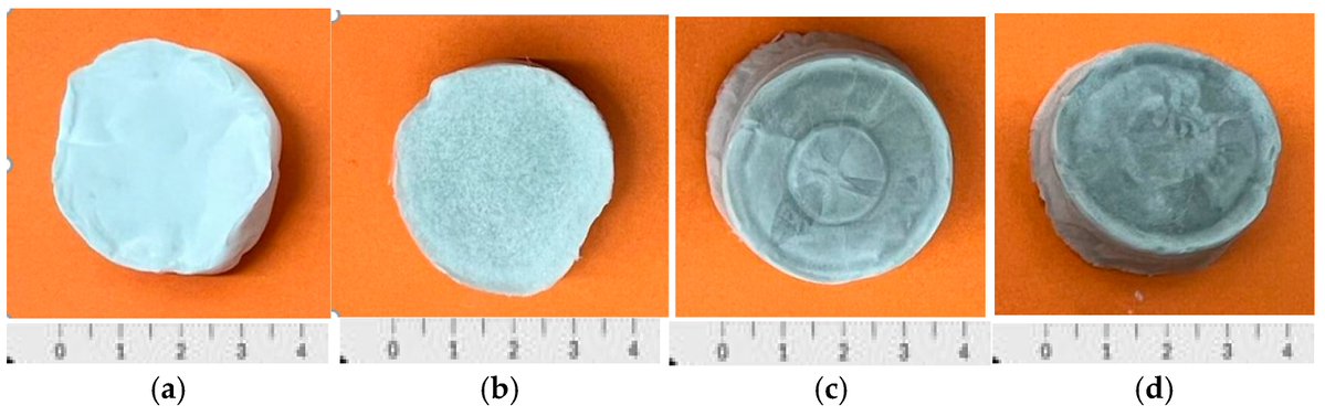 Biomim_MDPI's tweet image. 🦴🧪 Porous PDLLA scaffolds reinforced with graphene oxide show improved mechanical strength, thermal stability, biocompatibility, and controlled degradation, making them promising candidates for bone tissue engineering.

🔗 mdpi.com/2313-7673/10/1…
#TissueEngineering #Biomaterial