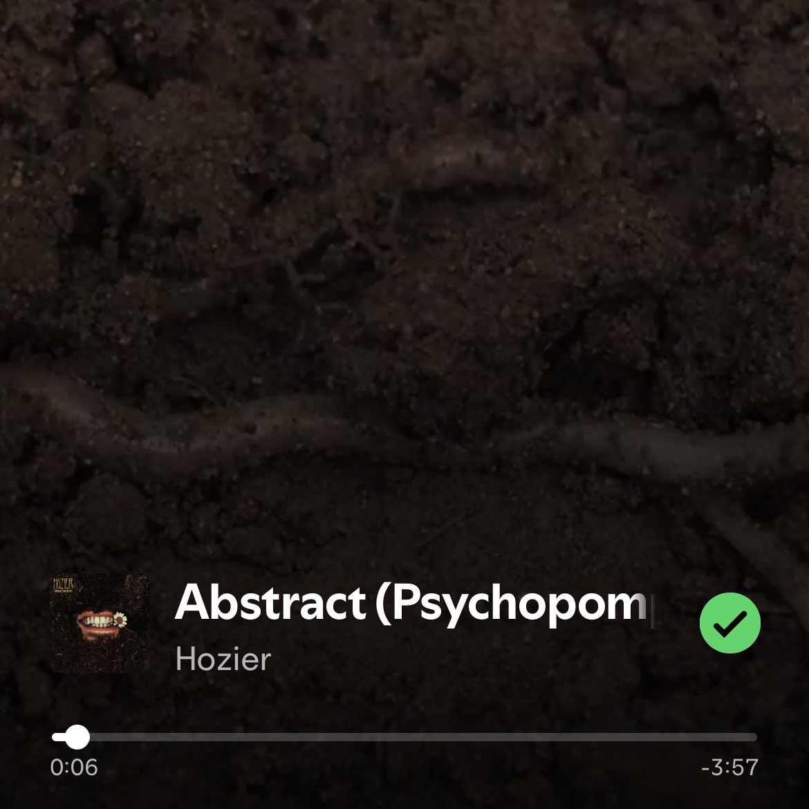 grapebats's tweet image. reply for a 4 letter word !!
i got bats 💪