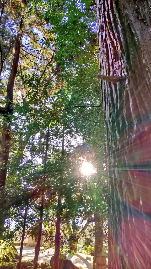 おはようございます。