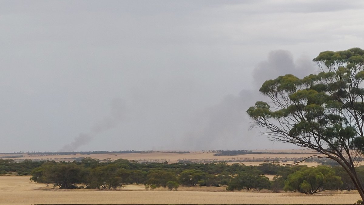 Carris Waite tweet media