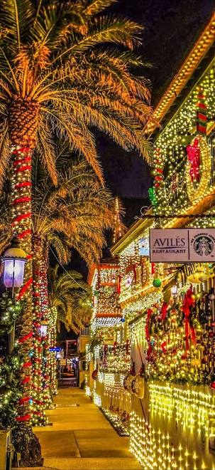 cinrui's tweet photo. @ricphy2 @StellarArtoisGB @AndraCastilho3 @BRRRCO @RaniL247 @MeltingInMarana @WeDoNotKneel @GaryWalters66 @janninereid1 @BikerBunnyD @tikiangels2 @anneinparadise2 @Outs45 @FireBallNPizza @PSwal807 @J0hnnyD0llar @aliast6469 @InjunJoe2726 @emma6USA @PecanC8 @cinarte561 Thank you Rick for the honor! ๐ฅฐโญโ๐ค
Have a fantastic evening! ๐ฅ ๐ค @ricphy2 ๐ค๐ฅ
๐ซ Nights of lights ๐ซ
#StAugustineFL https://t.co/z7YuxjEn15