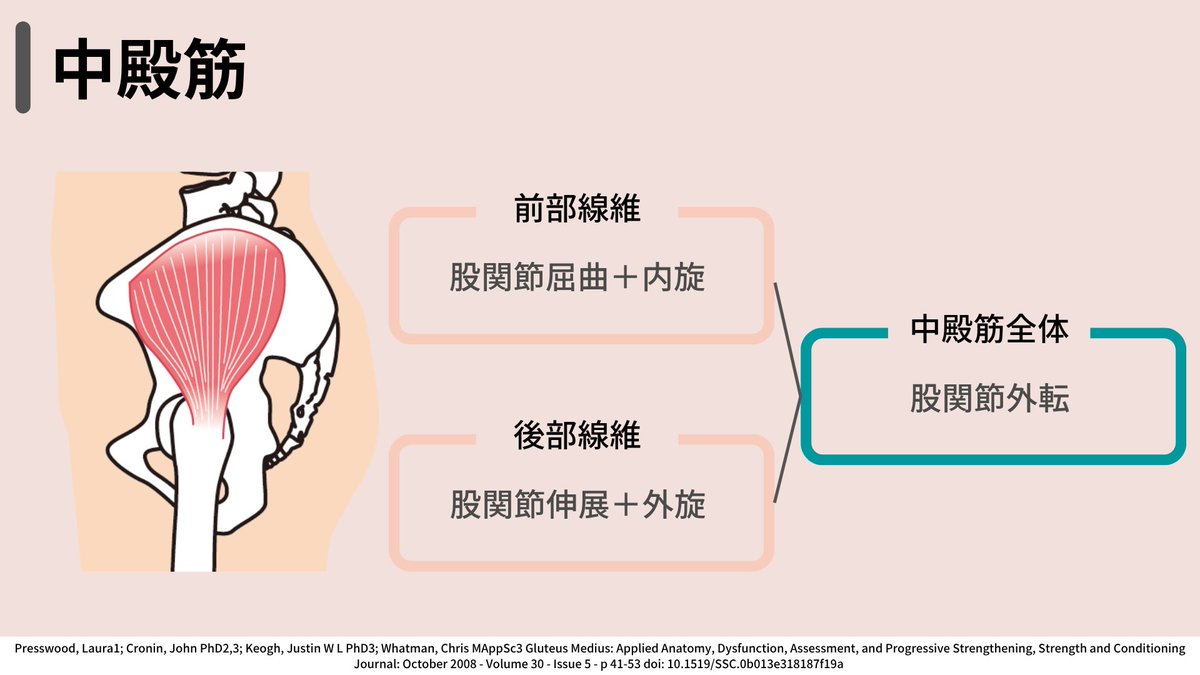 Rk_note14's tweet image. 大殿筋・中殿筋の運動療法
↓