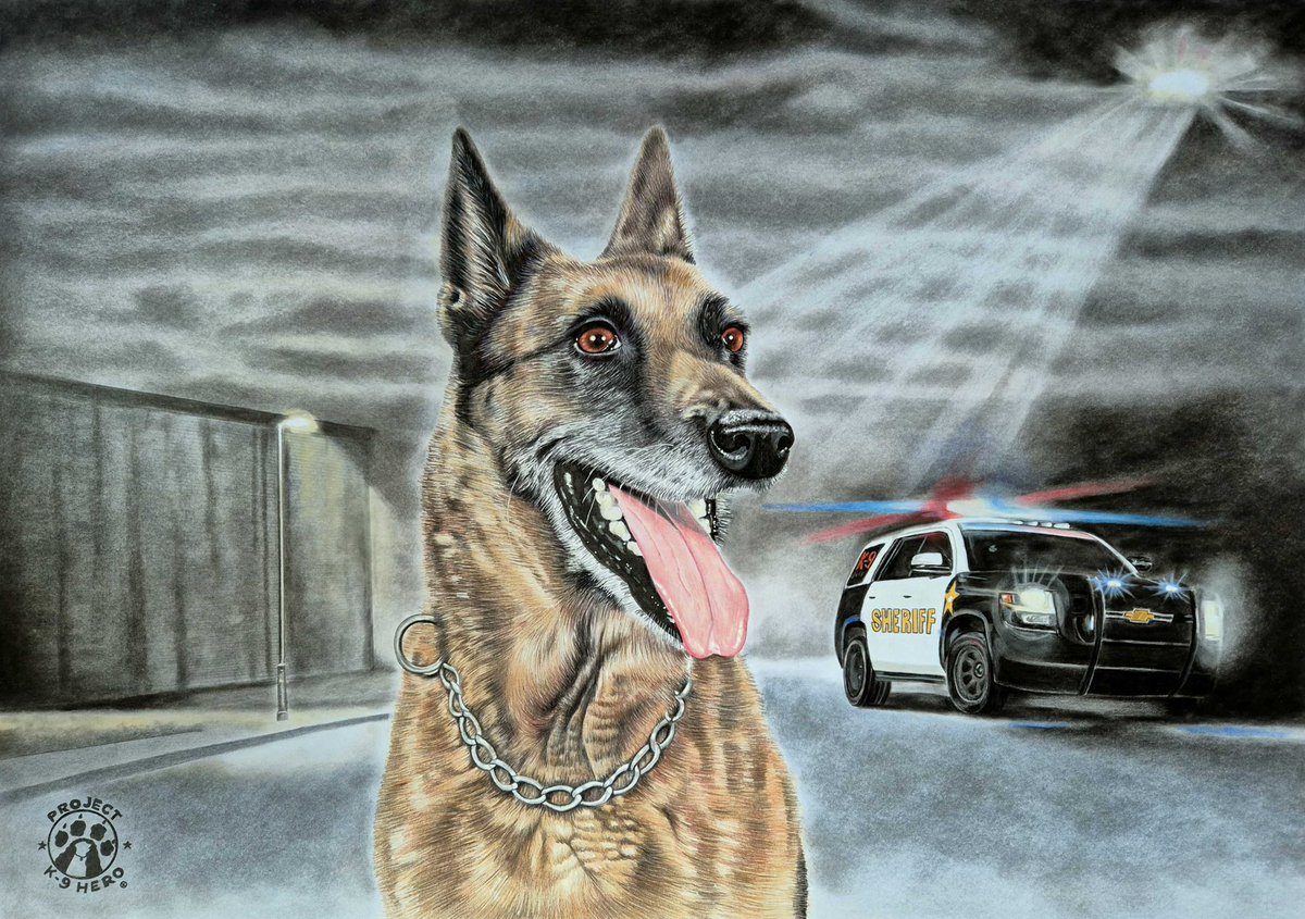 ProjectK9Hero's tweet image. Check out this amazing custom memorial portrait from our Project K-9 Hero Staff Artist, Niki Firmin, of our 100th Program Member, K-9 Lexie, from Brentwood PD, TN. Our nonprofit is honored to be presenting this gorgeous piece of art to her handler and family to cherish!