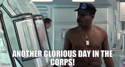 Silvio Fiorito tweet media