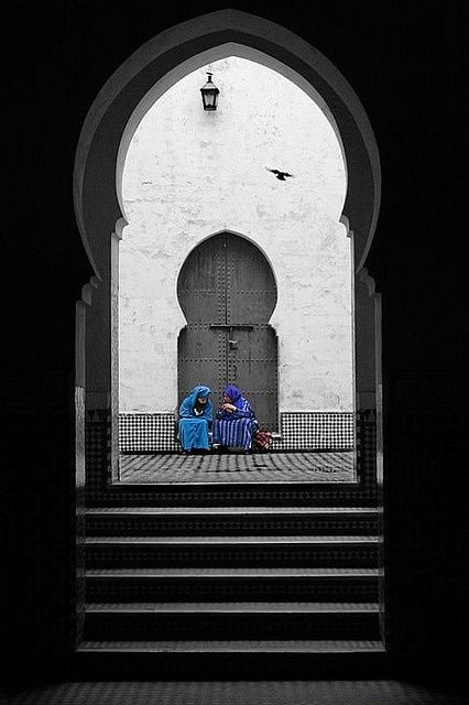 safia_1v's tweet image. فَإن تَدنُ مِنِّي تَدنُ مِنكَ مَوَدَّتِي 
وإن تَنأ عَنِّي تَلقَنِي عَنكَ نَائِيَا!
- الإمام الشافعي🌾