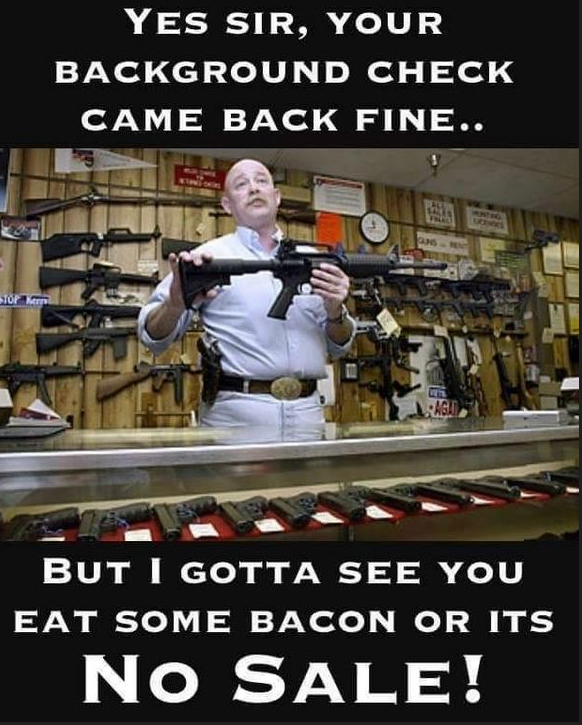 Trumplicans2024.com tweet media