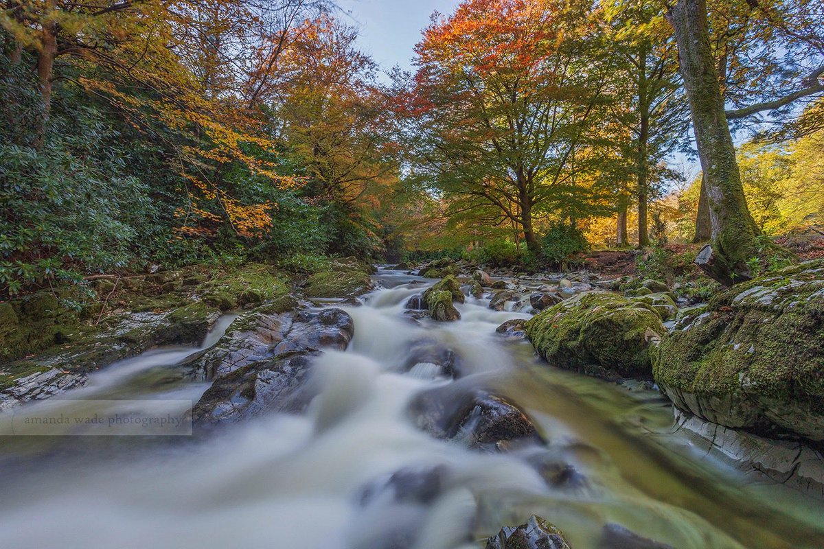 PhotographyAlw's tweet photo. Nature’s Nook

Autumn colours at Tullymore Forest.

@WeatherCee @LoveBallymena @EnjoyTheMournes @CanonUKandIE @DiscoverNI @The_Photomag @LEEFilters @NatGeoPhotos @OutdoorPhotoMag https://t.co/9xcIweZmGe