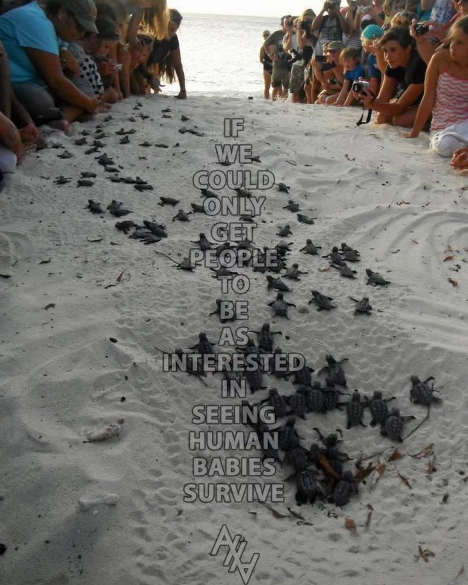 Eric Godbold tweet media