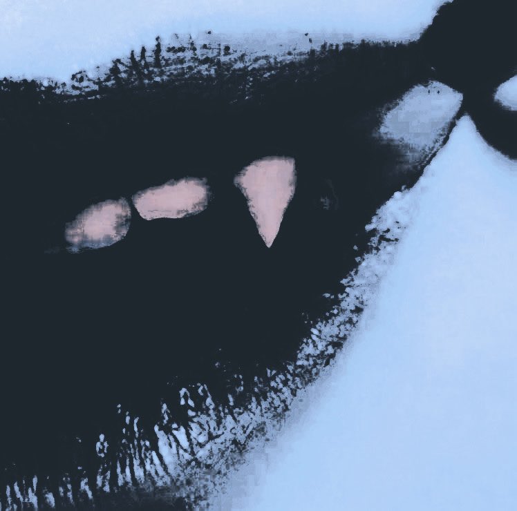 𝙲𝙷𝙰𝙾𝚂 𝗜͟𝗡͟𝗖͟𝗔͟𝗥͟𝗡͟𝗔͟𝗧͟𝗘 tweet media