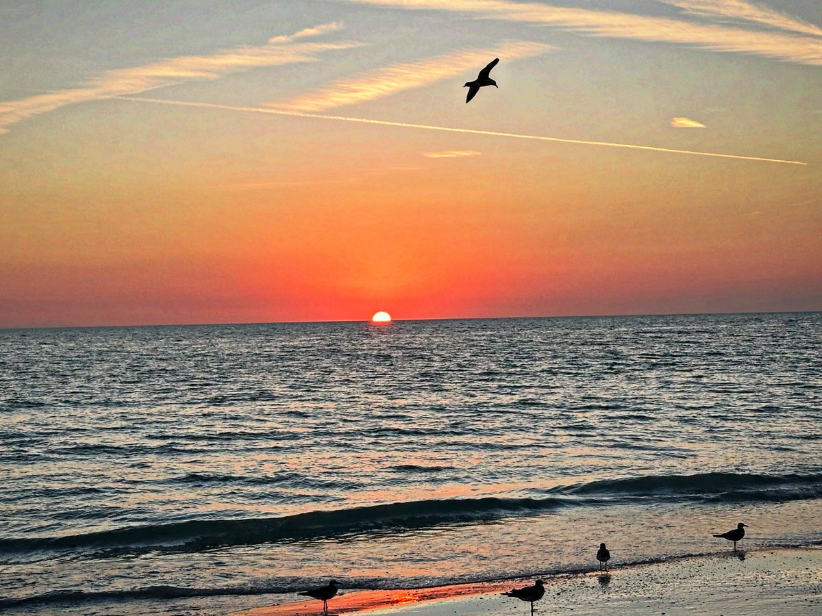 scmarks's tweet image. Divine Artistry