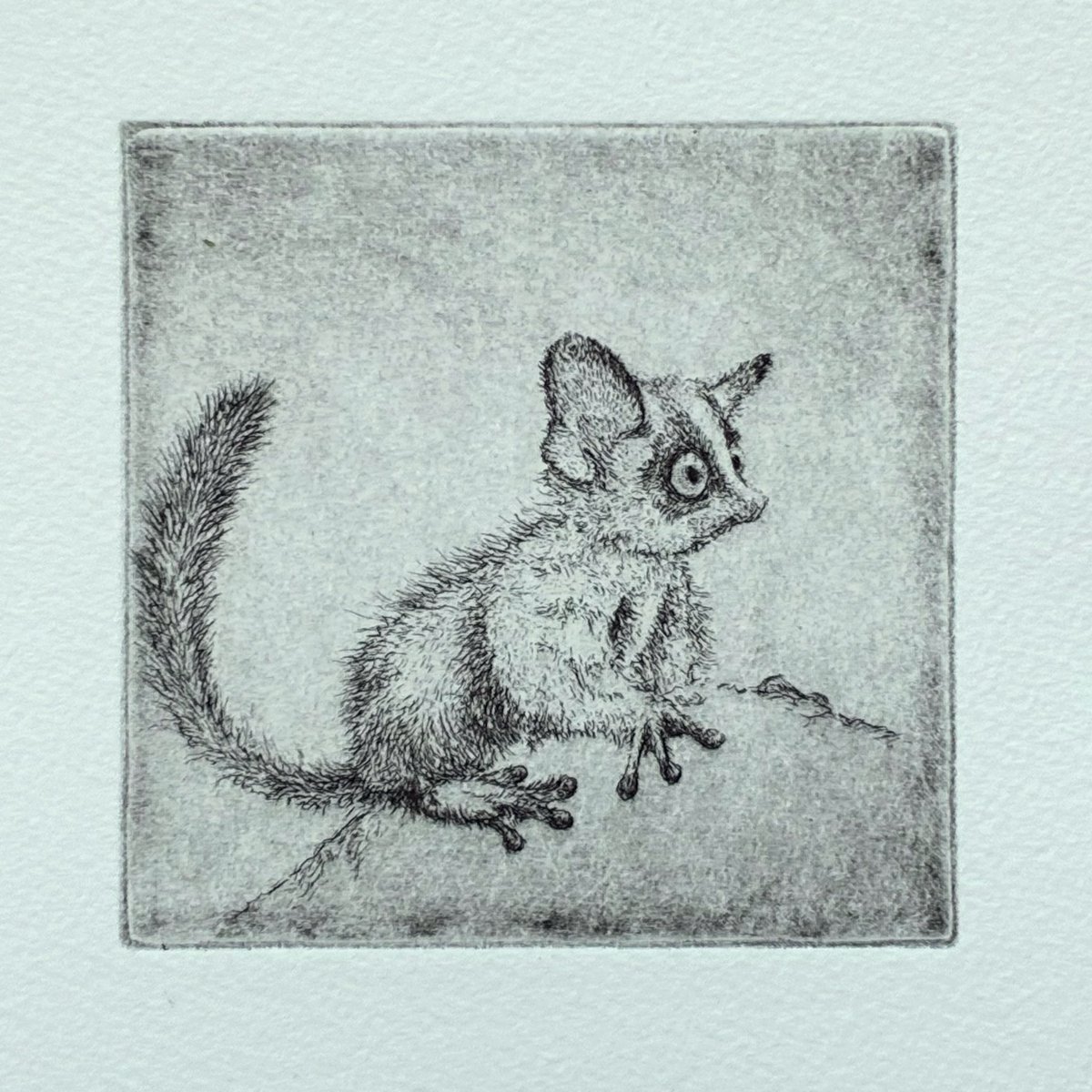 yu_grassbird's tweet image. AO Etching Studioでの楽しい制作。虫眼鏡片手に彫り進めています✨　#etching