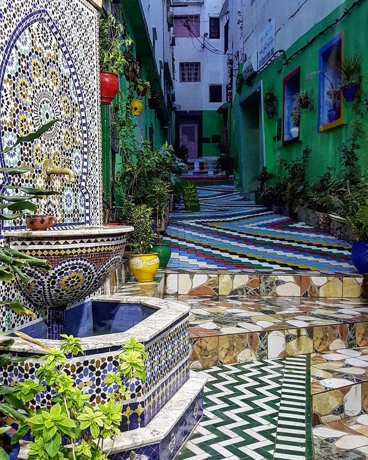 safia_1v's tweet image. مُصْطَنَعُ الوُّدِّ تَفْضَحُهُ الشَّدَائِد..