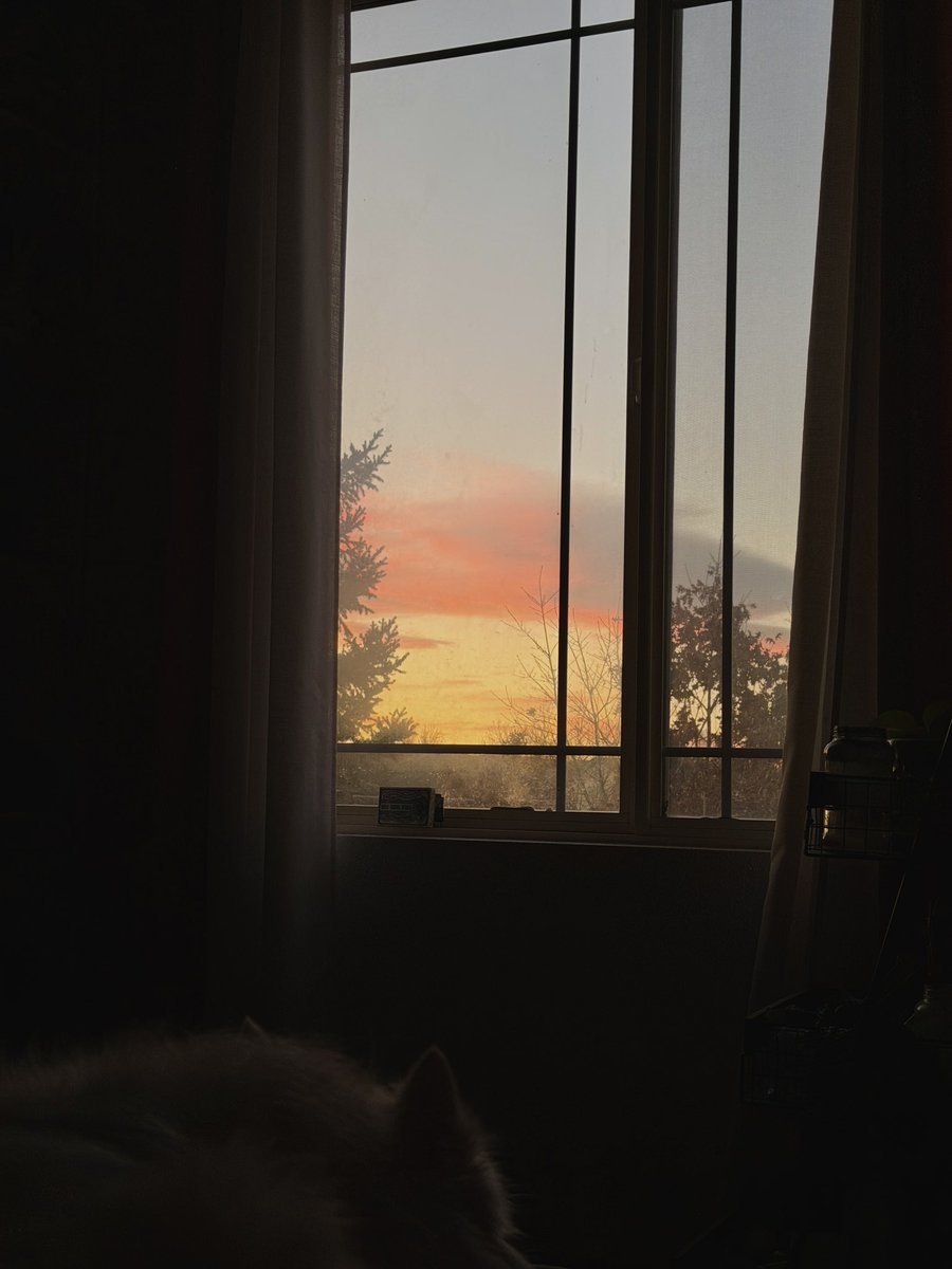 bee_rkive's tweet photo. happy monday #studytwt !
been studying from sunrise to sunset 😮‍💨 https://t.co/PbMdShnGPA