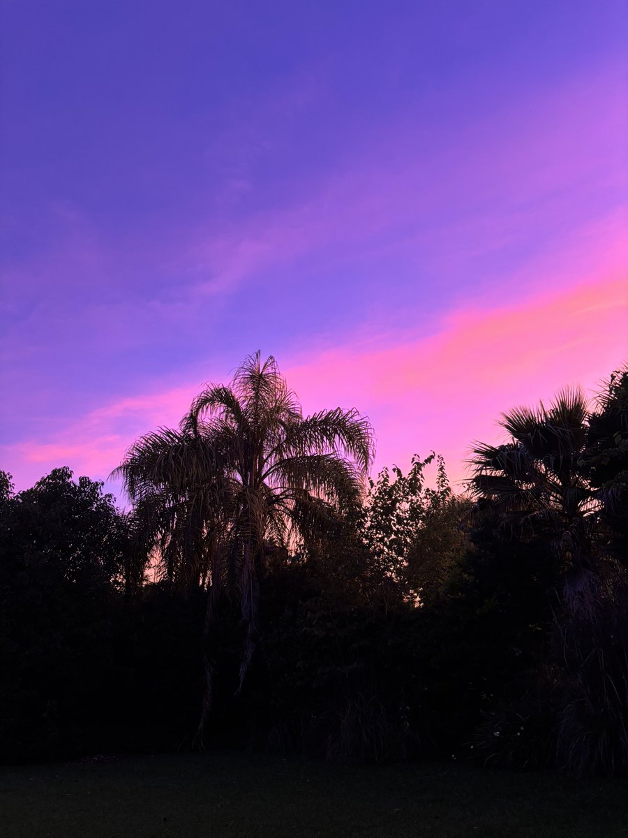 lodeale2's tweet image. Amo este cielo