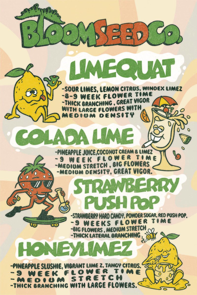 Bloom Seed Company tweet media